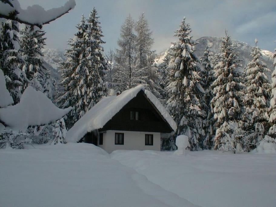 Apartment Lake Bohinj No. 5 Eksteriør billede