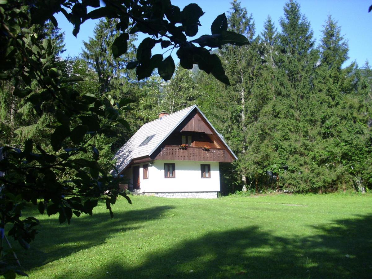 Apartment Lake Bohinj No. 5 Eksteriør billede