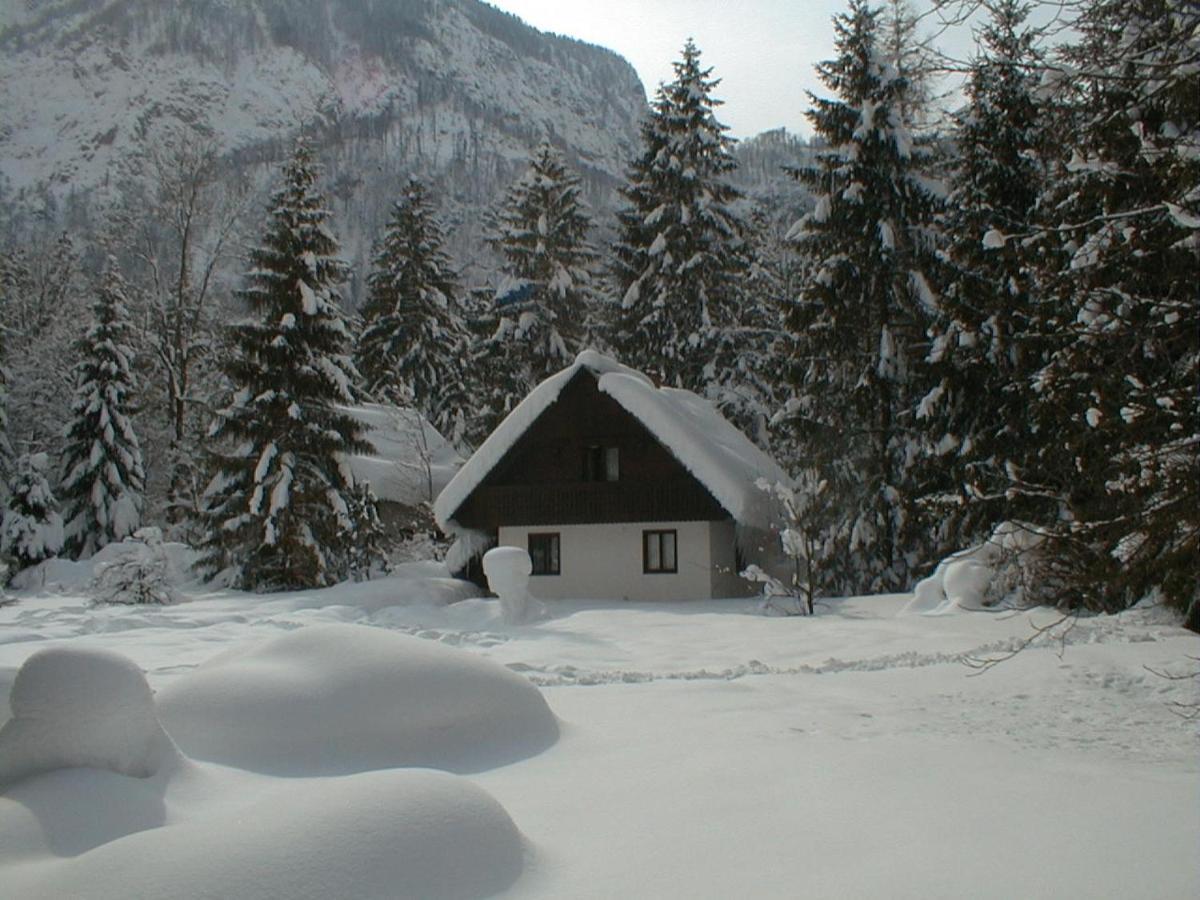 Apartment Lake Bohinj No. 5 Eksteriør billede